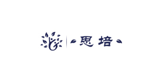 石家庄教育学校网站建设